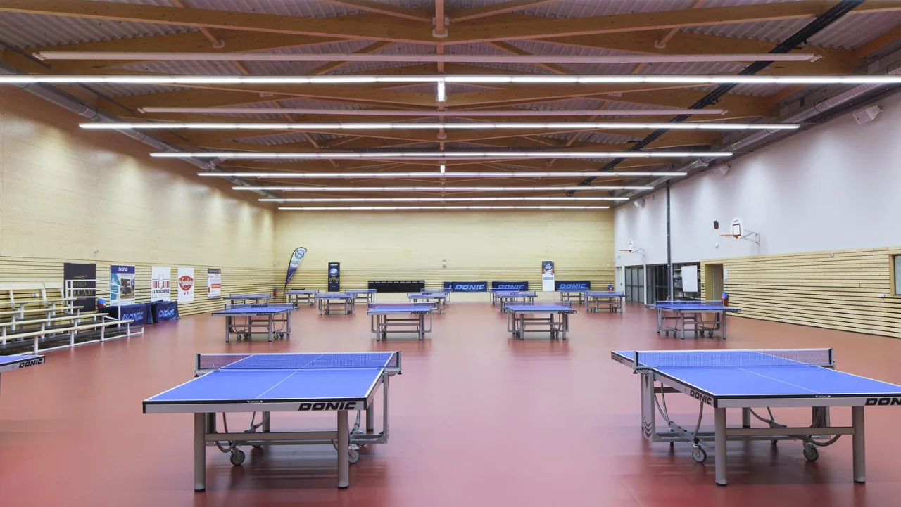 Leef fornitura e posa pavimento vinilico per tennistavolo